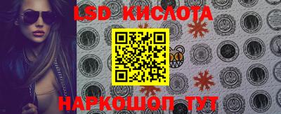 СК Новозыбков
