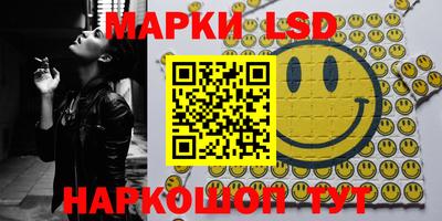 СК Новозыбков
