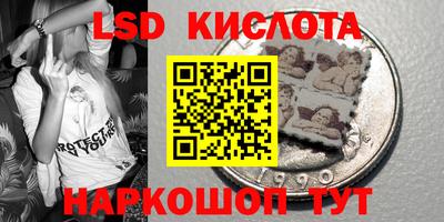 СК Новозыбков