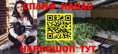 СК Новозыбков